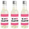 Big Dot of Happiness Be My Galentine - Mini Wine and Champagne Bottle Label Stickers - Galentine's and Valentine's Day Party Favor Gift - Set of 16